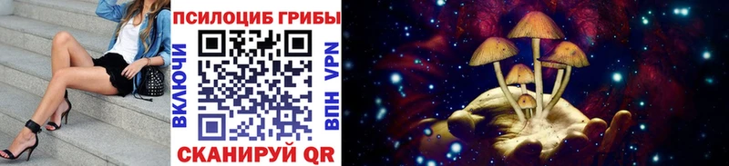 Псилоцибиновые грибы GOLDEN TEACHER  ОМГ ОМГ tor  Усть-Катав  магазин продажи наркотиков 